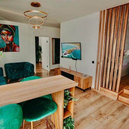 Jacuzzi Apartment Baia Mare Buitenkant foto