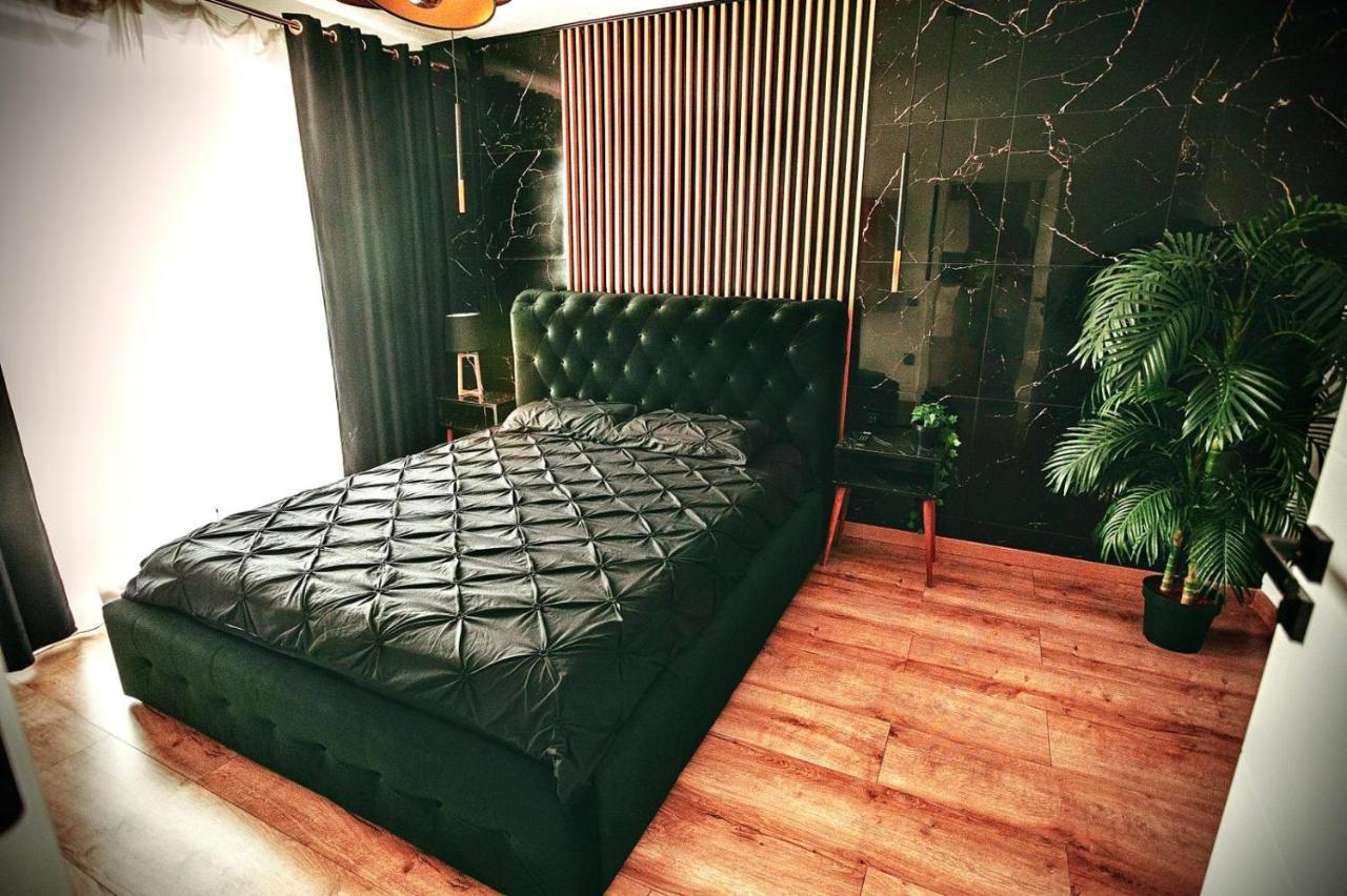 Jacuzzi Apartment Baia Mare Buitenkant foto