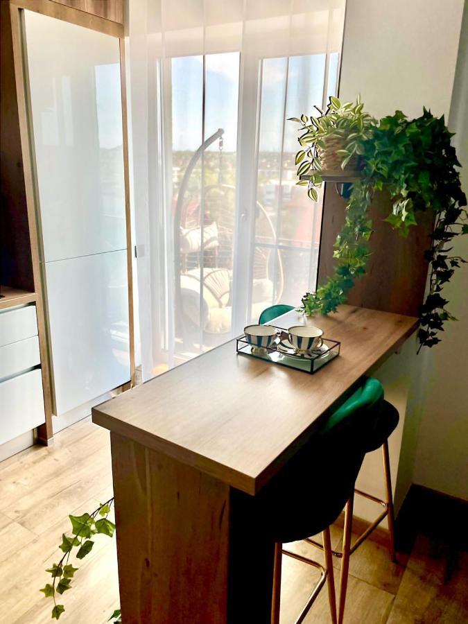 Jacuzzi Apartment Baia Mare Buitenkant foto
